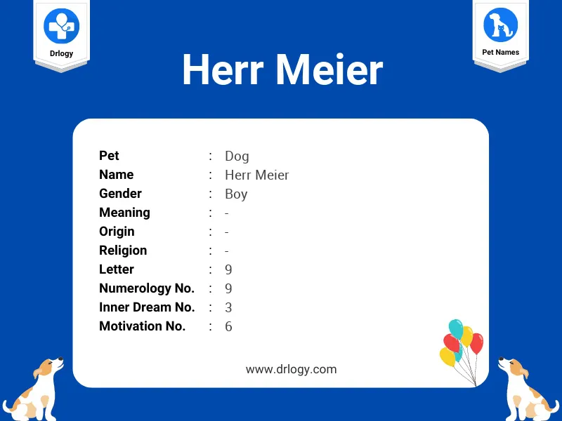Herr Meier Name Meaning